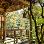 Alberto Toshio Murakami