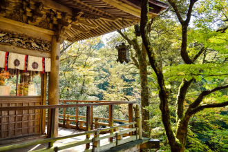 Alberto Toshio Murakami