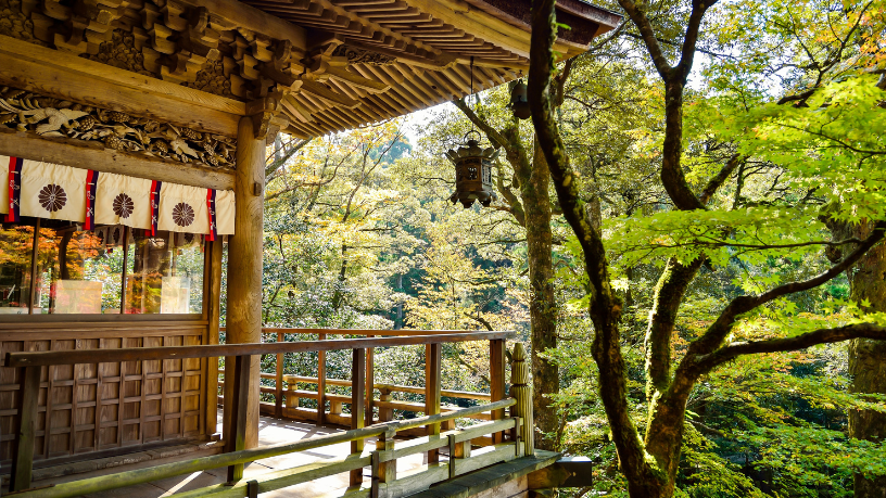 Alberto Toshio Murakami